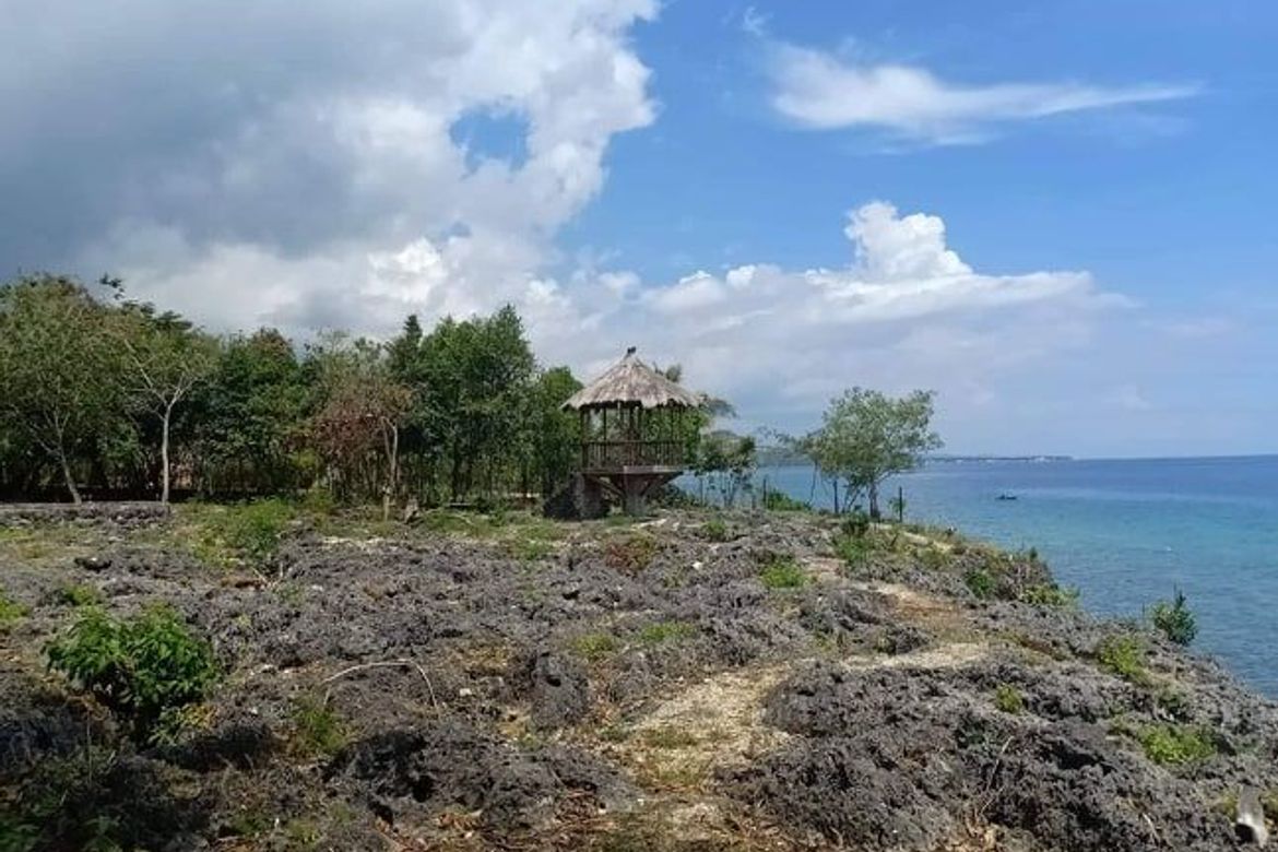 Land for Sale in Poblacion, Alcoy, Cebu – photo 2