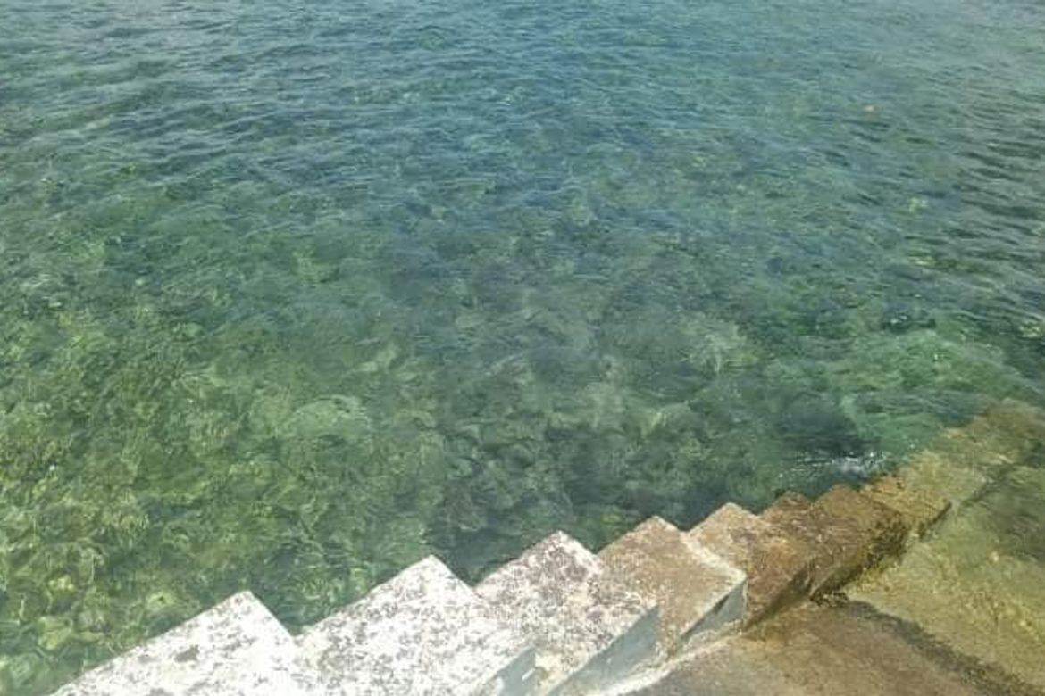 Land for Sale in Poblacion, Alcoy, Cebu – photo 3