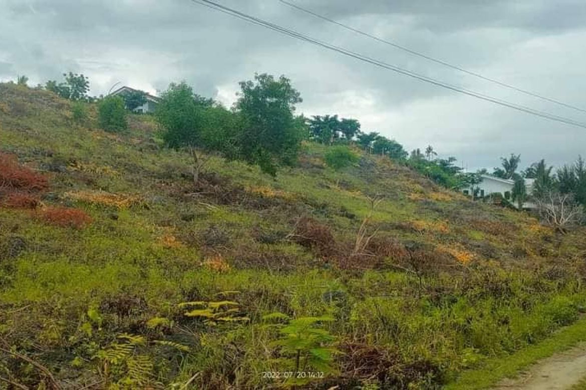 Land for Sale in Poblacion, Alcoy, Cebu – photo 5
