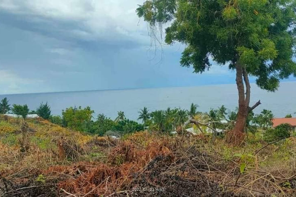 Land for Sale in Poblacion, Alcoy, Cebu – photo 7