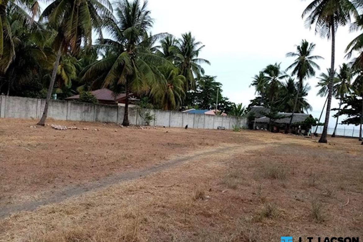 Land for Sale in Poblacion, Amlan, Negros Oriental – photo 2