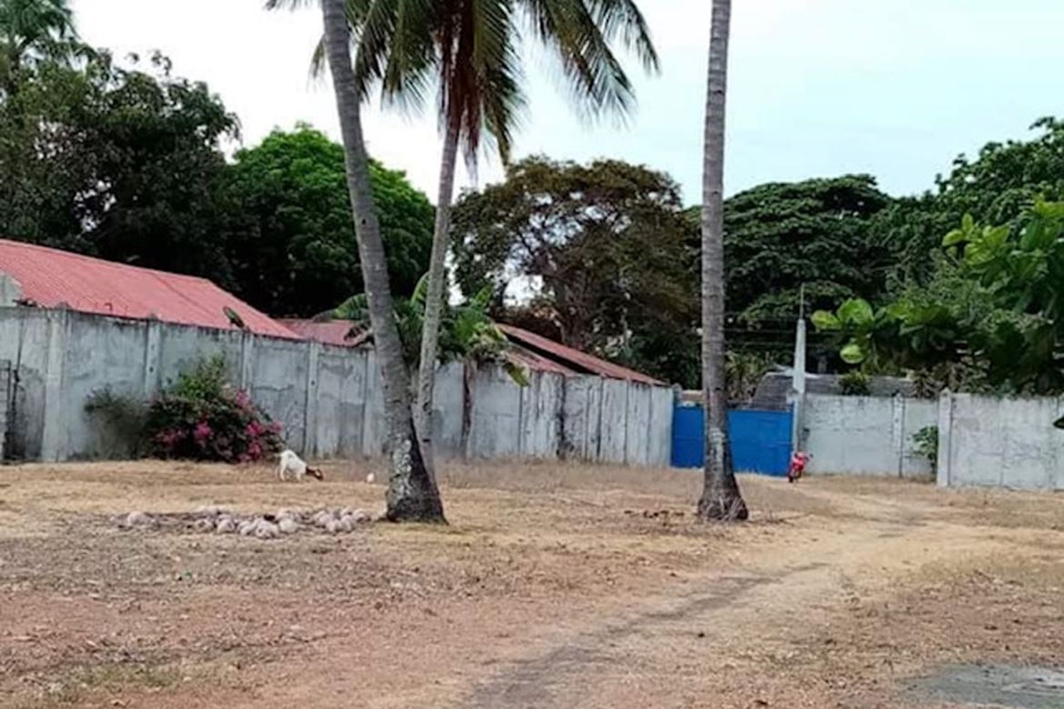 Land for Sale in Poblacion, Amlan, Negros Oriental – photo 3
