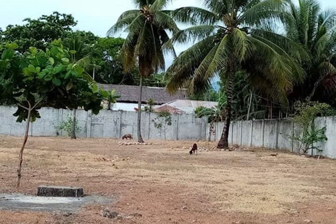 Land for Sale in Poblacion, Amlan, Negros Oriental – photo 4