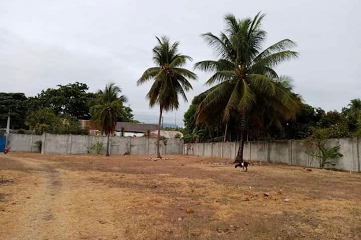 Land for Sale in Poblacion, Amlan, Negros Oriental – photo 5