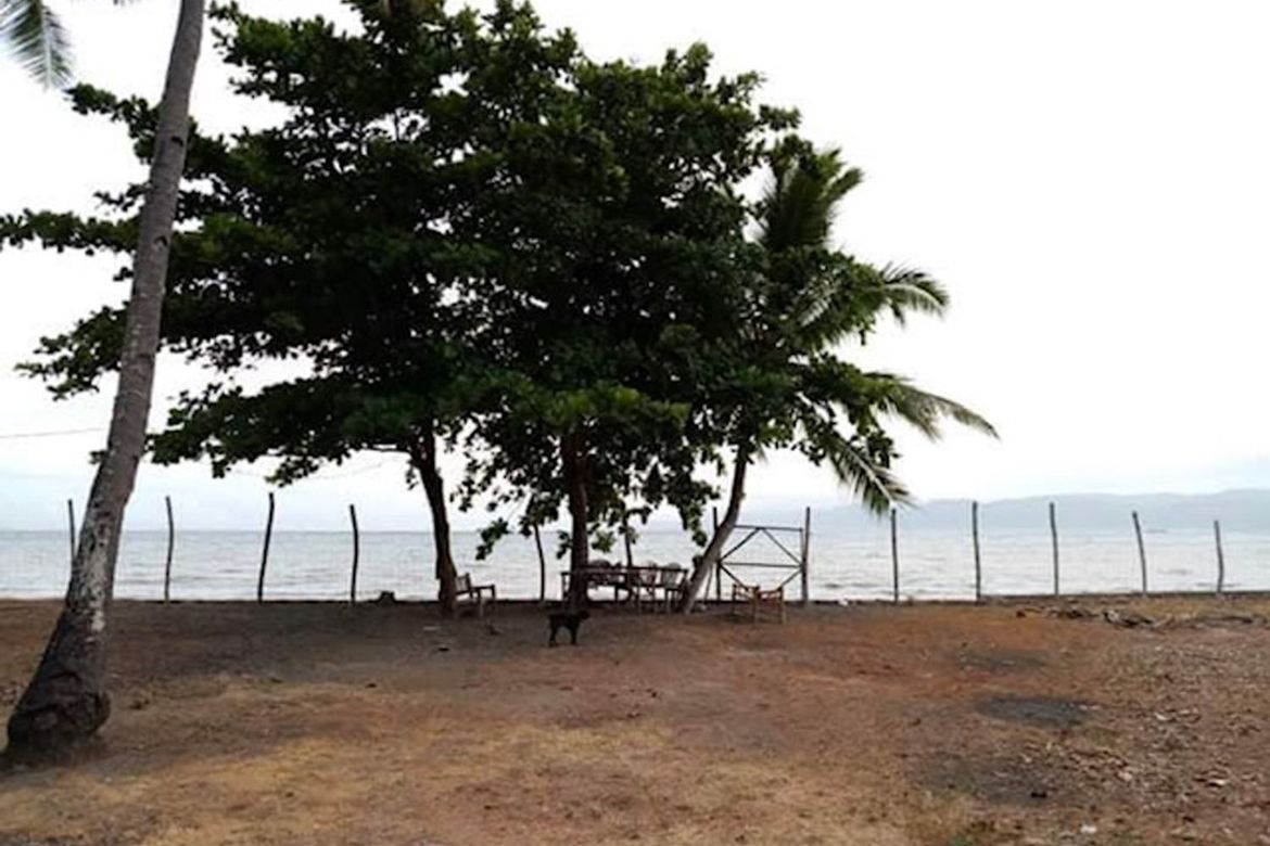 Land for Sale in Poblacion, Amlan, Negros Oriental – photo 7