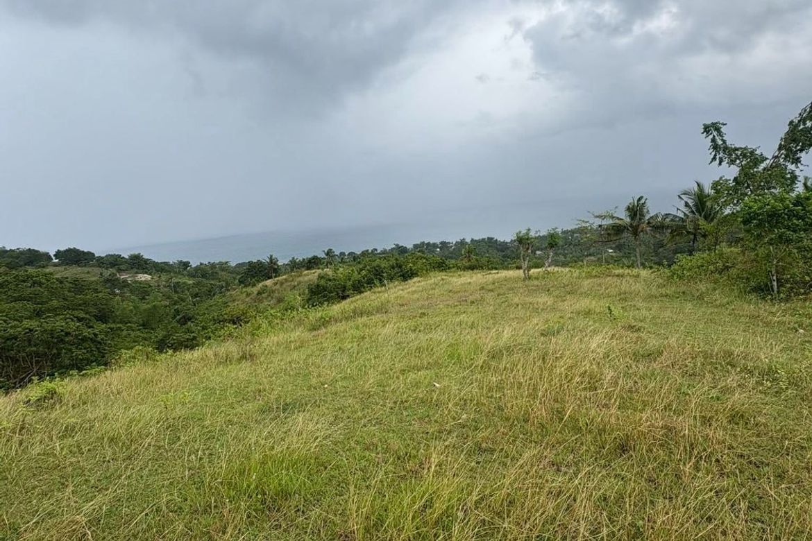 Land for Sale in Poblacion, Argao, Cebu – photo 2