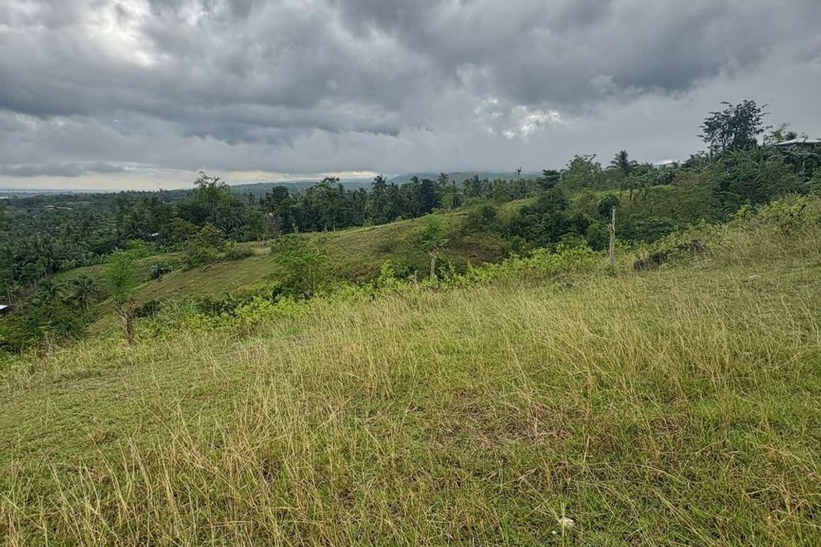 Land for Sale in Poblacion, Argao, Cebu – photo 4