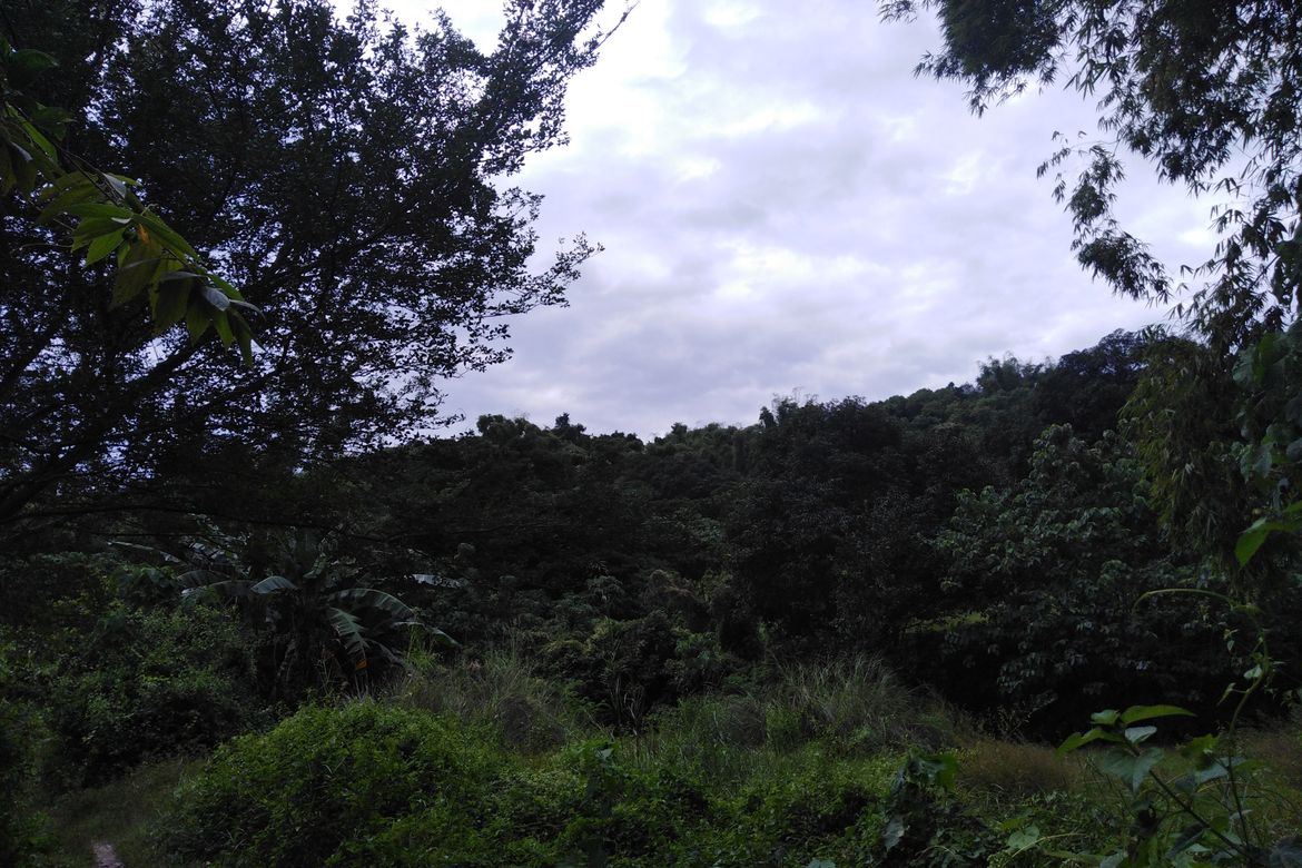 Land for Sale in Poblacion, Aringay, La Union