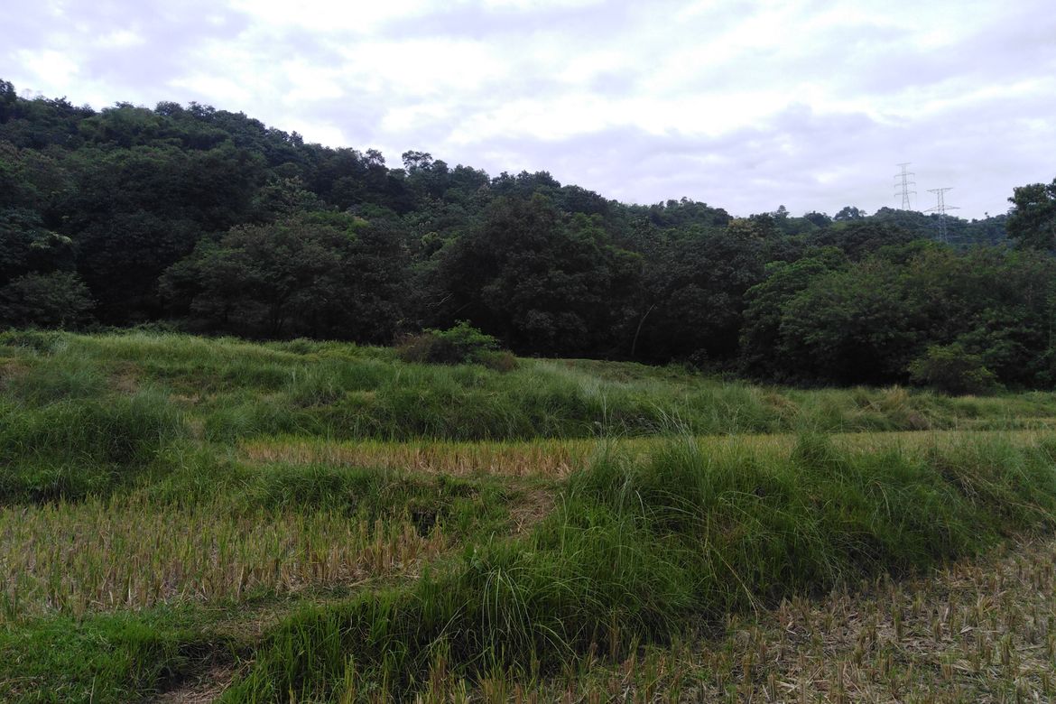 Land for Sale in Poblacion, Aringay, La Union – photo 2