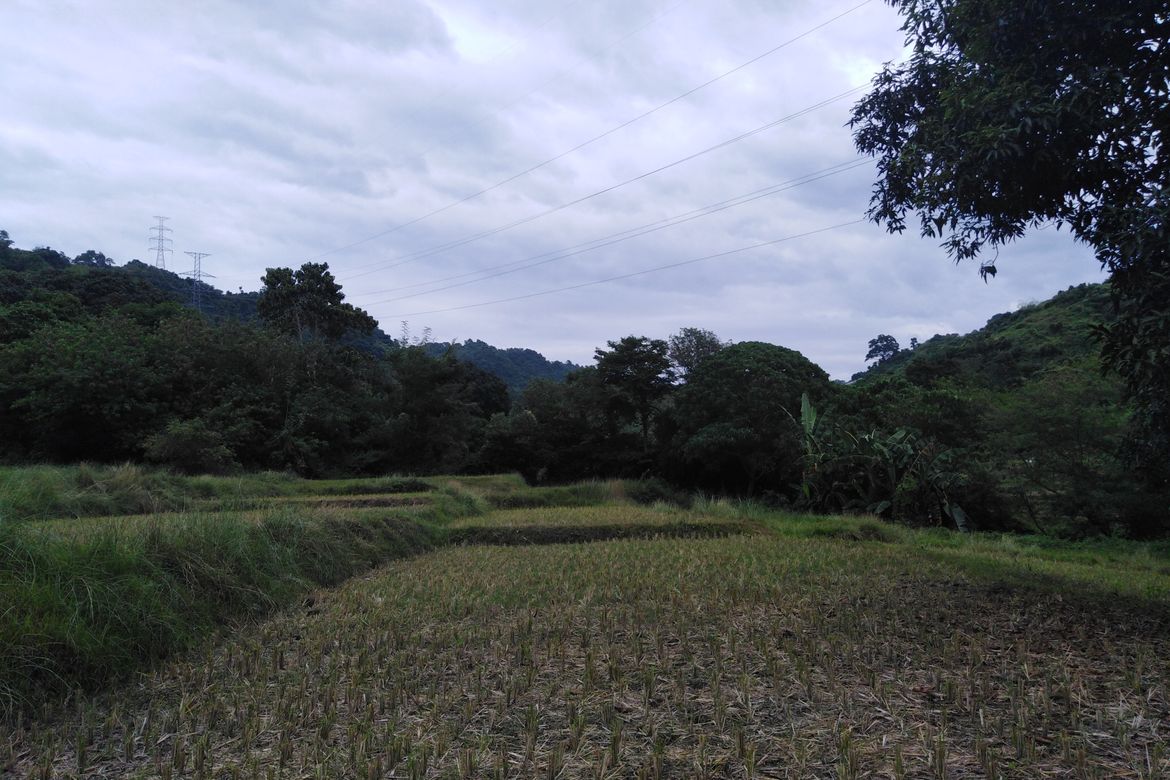 Land for Sale in Poblacion, Aringay, La Union – photo 3