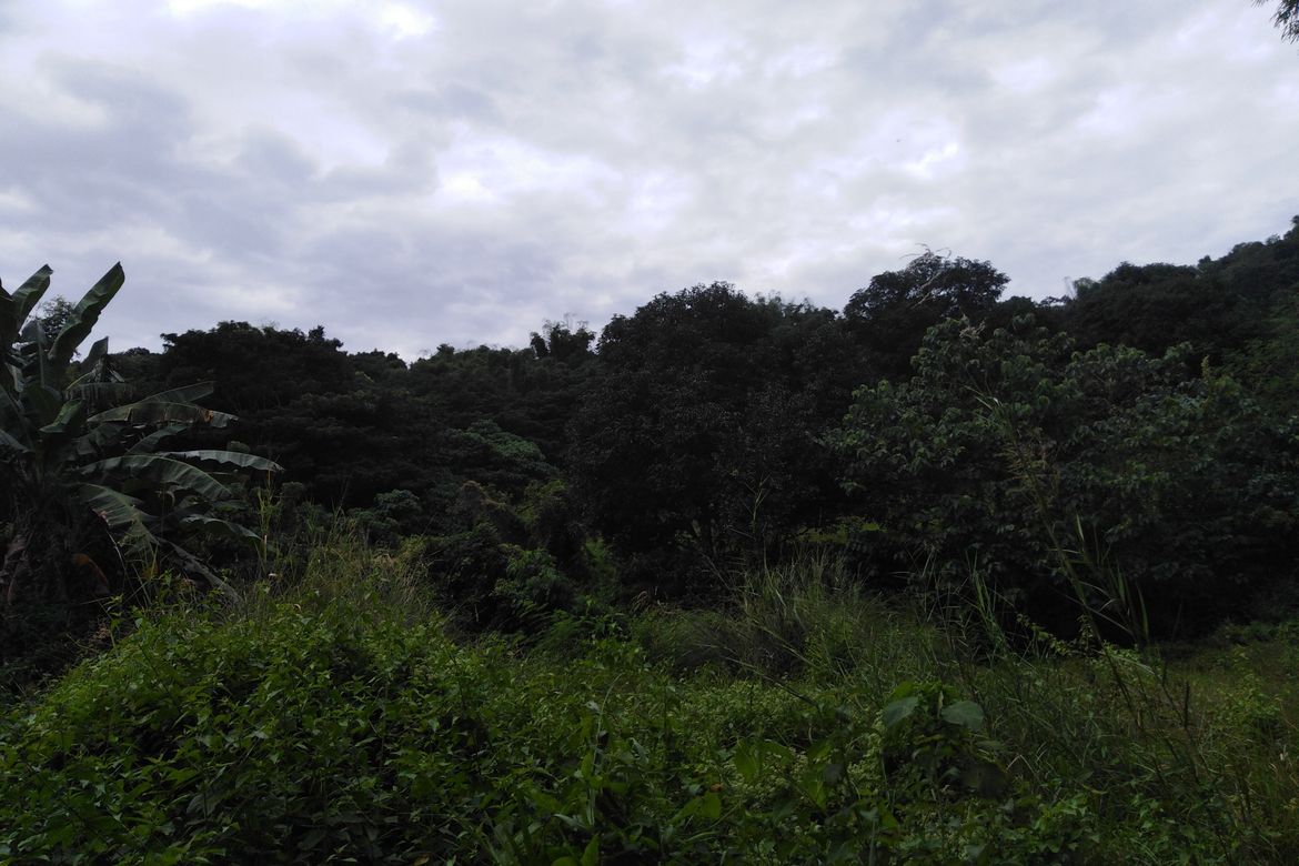 Land for Sale in Poblacion, Aringay, La Union – photo 4
