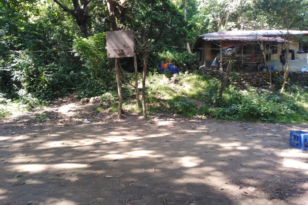 Land for Sale in Poblacion, Aringay, La Union – photo 6