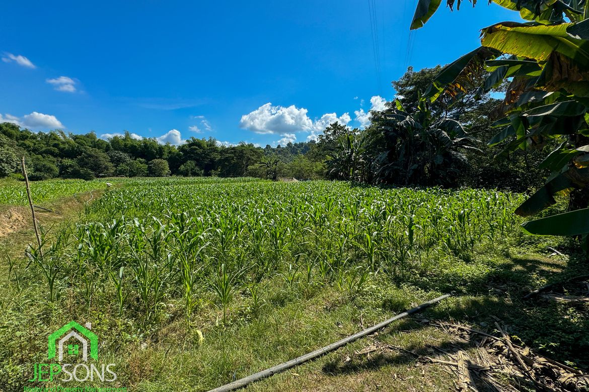 Land for Sale in Poblacion, Aringay, La Union