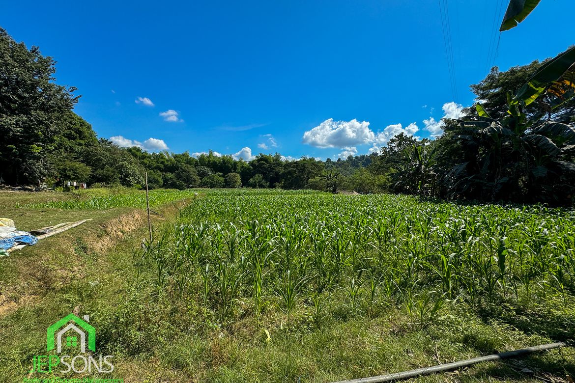 Land for Sale in Poblacion, Aringay, La Union – photo 2