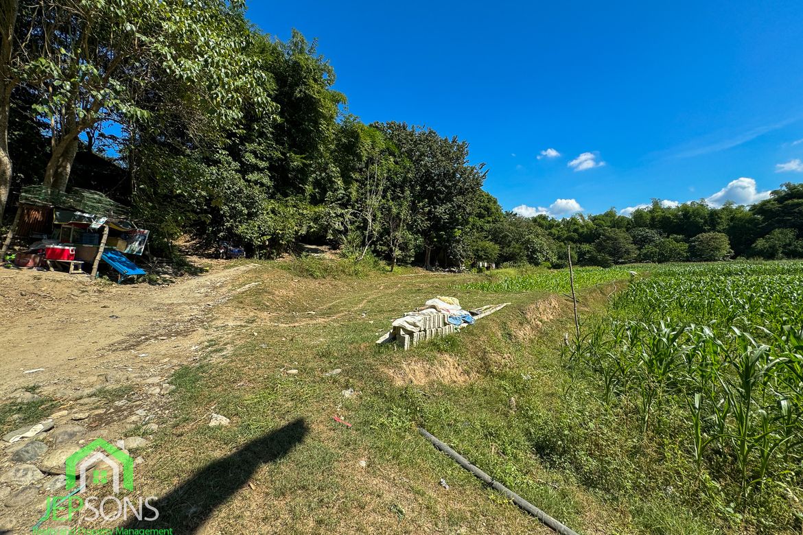 Land for Sale in Poblacion, Aringay, La Union – photo 4