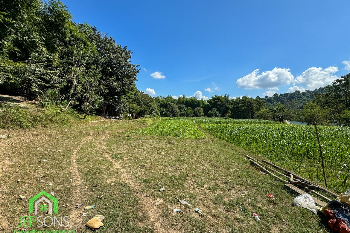 Land for Sale in Poblacion, Aringay, La Union – photo 8