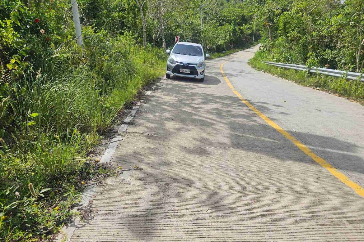 Land for Sale in Poblacion, Baclayon, Bohol – photo 4