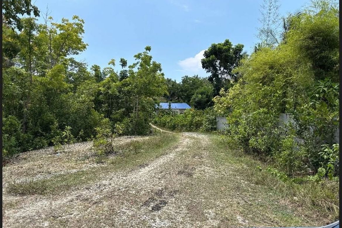 Land for Sale in Poblacion, Baclayon, Bohol – photo 2
