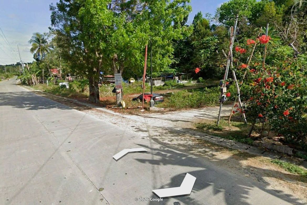 Land for Sale in Poblacion, Baclayon, Bohol – photo 5