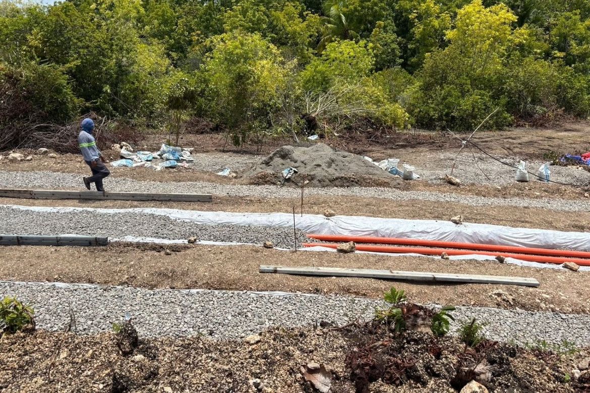 Land for Sale in Poblacion, Baclayon, Bohol – photo 6