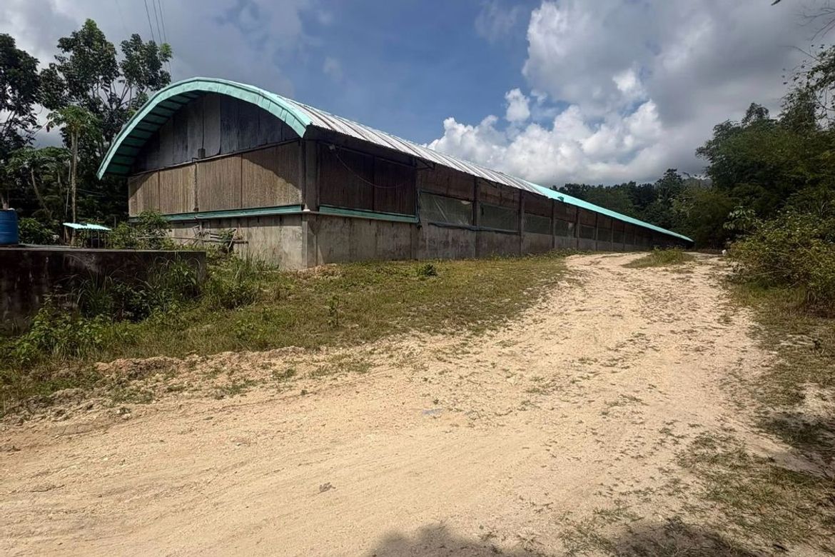 Land for Sale in Poblacion, Badian, Cebu – photo 3