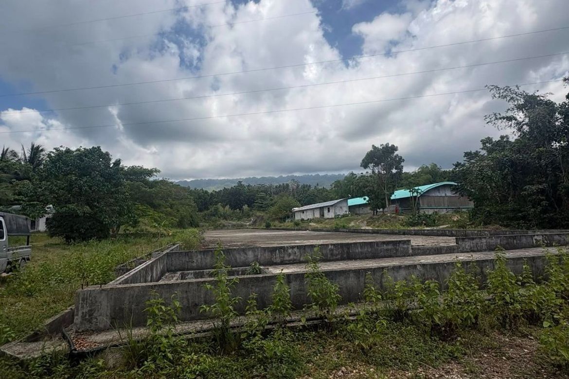 Land for Sale in Poblacion, Badian, Cebu – photo 6