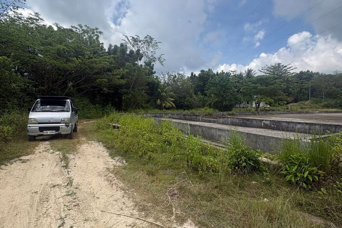 Land for Sale in Poblacion, Badian, Cebu – photo 7