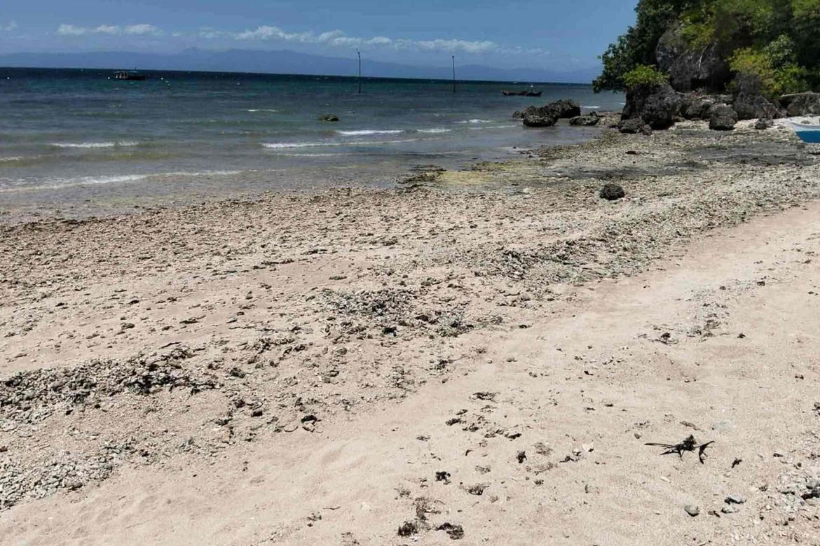 Land for Sale in Poblacion, Badian, Cebu – photo 2
