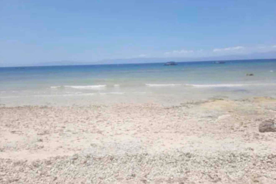 Land for Sale in Poblacion, Badian, Cebu – photo 2