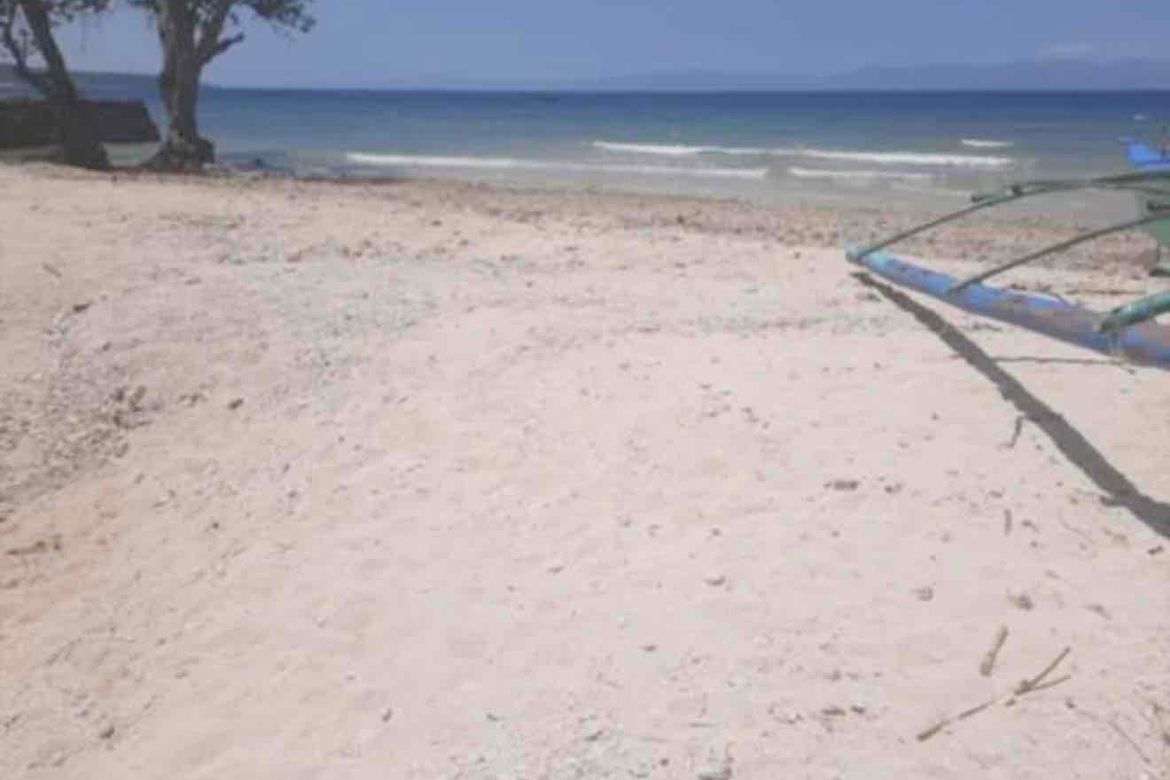 Land for Sale in Poblacion, Badian, Cebu – photo 3