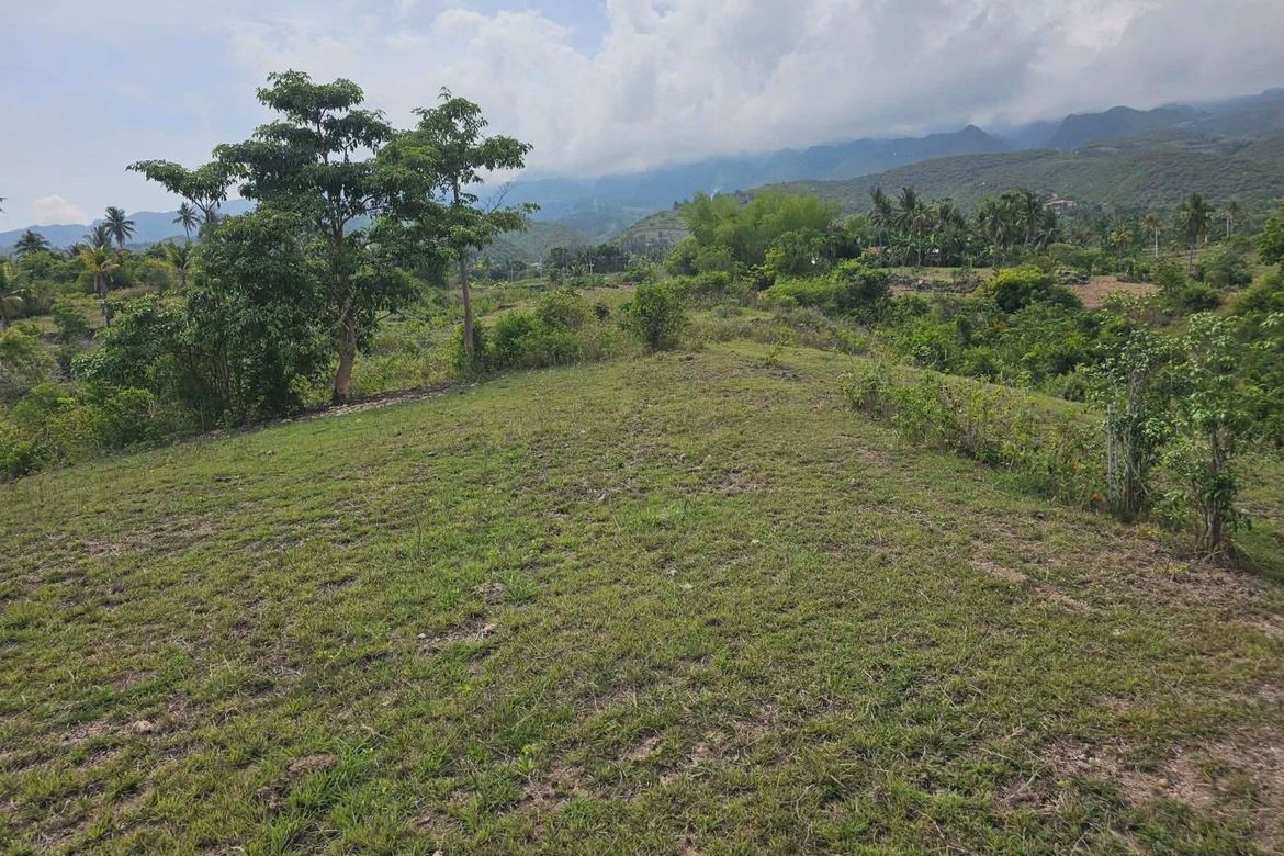 Land for Sale in Poblacion, Badian, Cebu