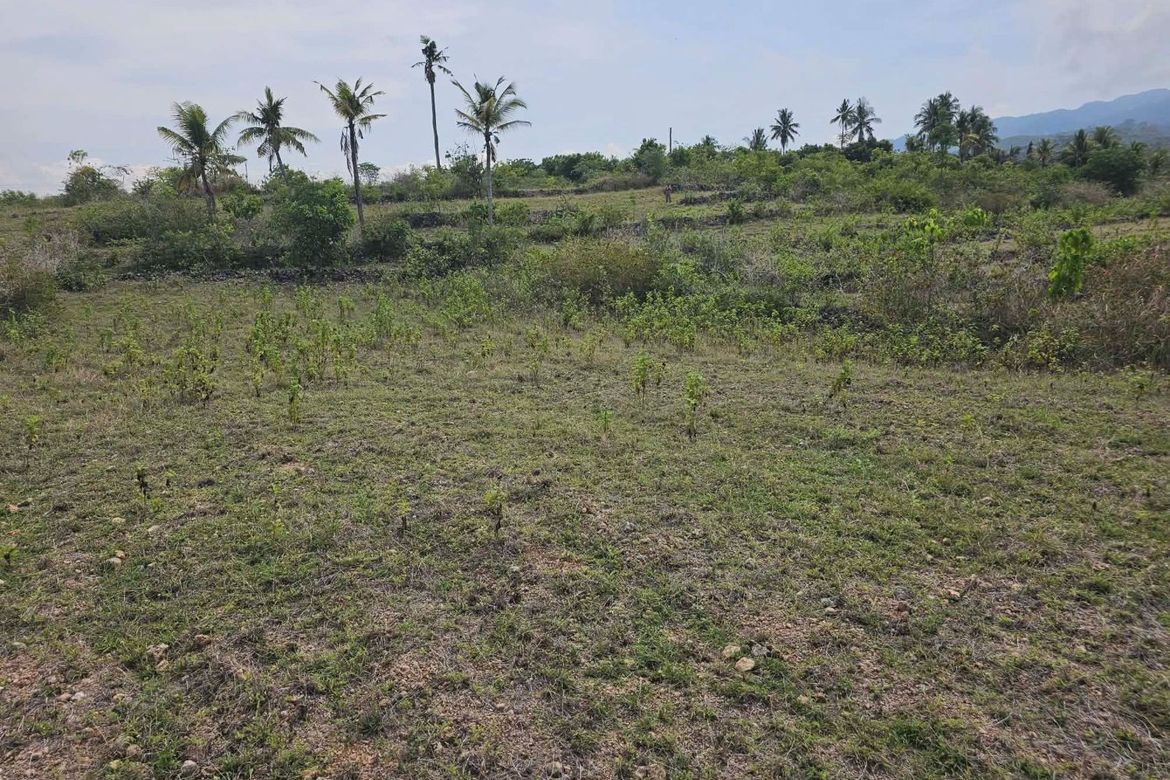 Land for Sale in Poblacion, Badian, Cebu – photo 6