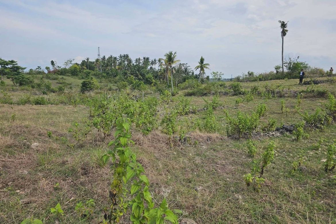 Land for Sale in Poblacion, Badian, Cebu – photo 8