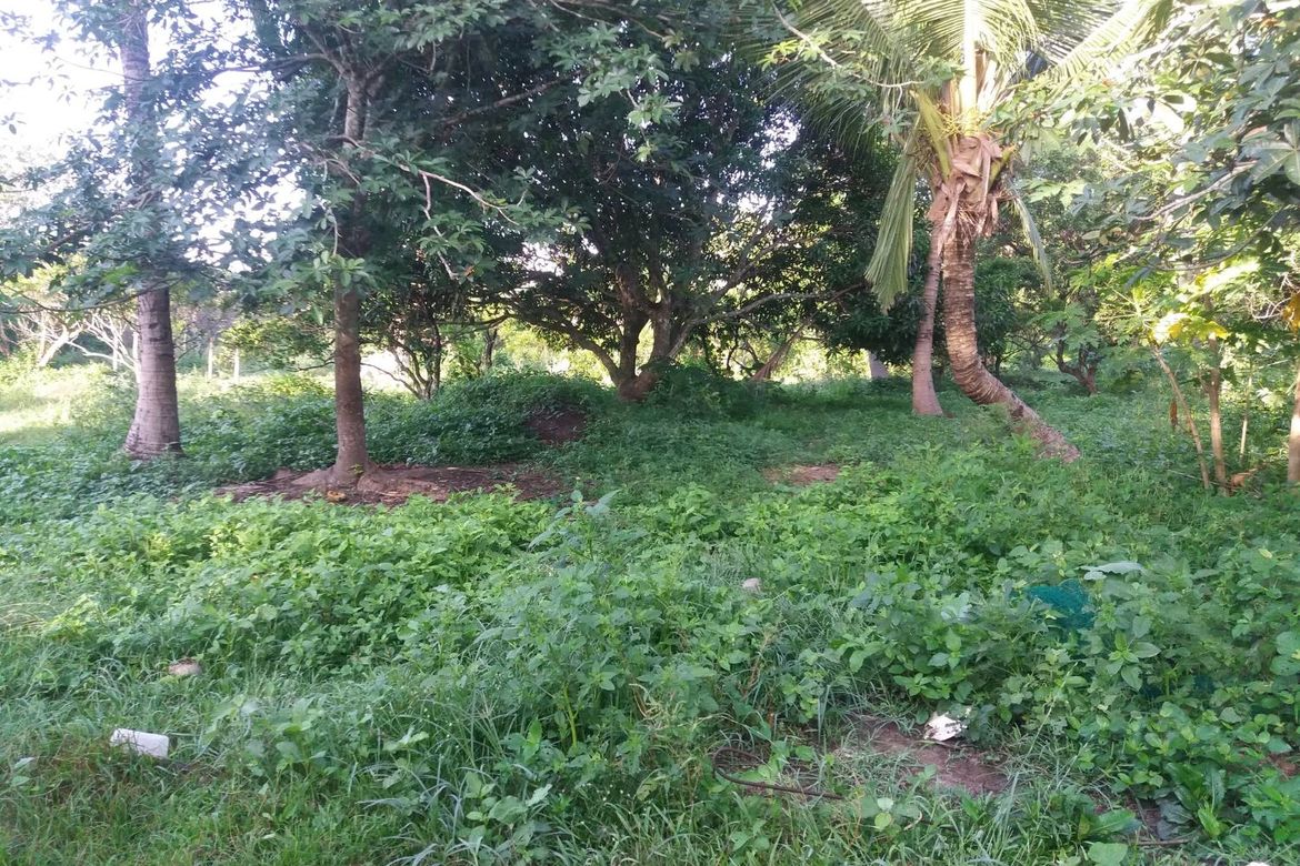 Land for Sale in Poblacion Barangay 6, Lipa, Batangas – photo 3