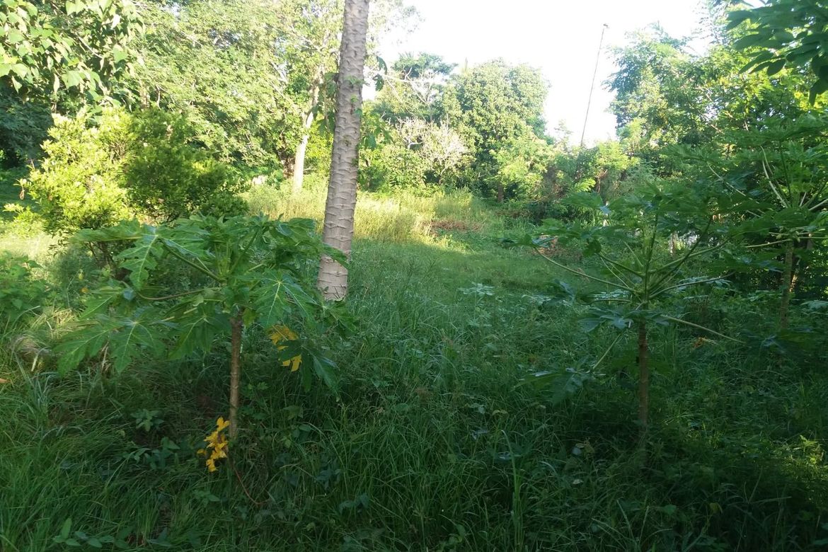 Land for Sale in Poblacion Barangay 6, Lipa, Batangas – photo 4
