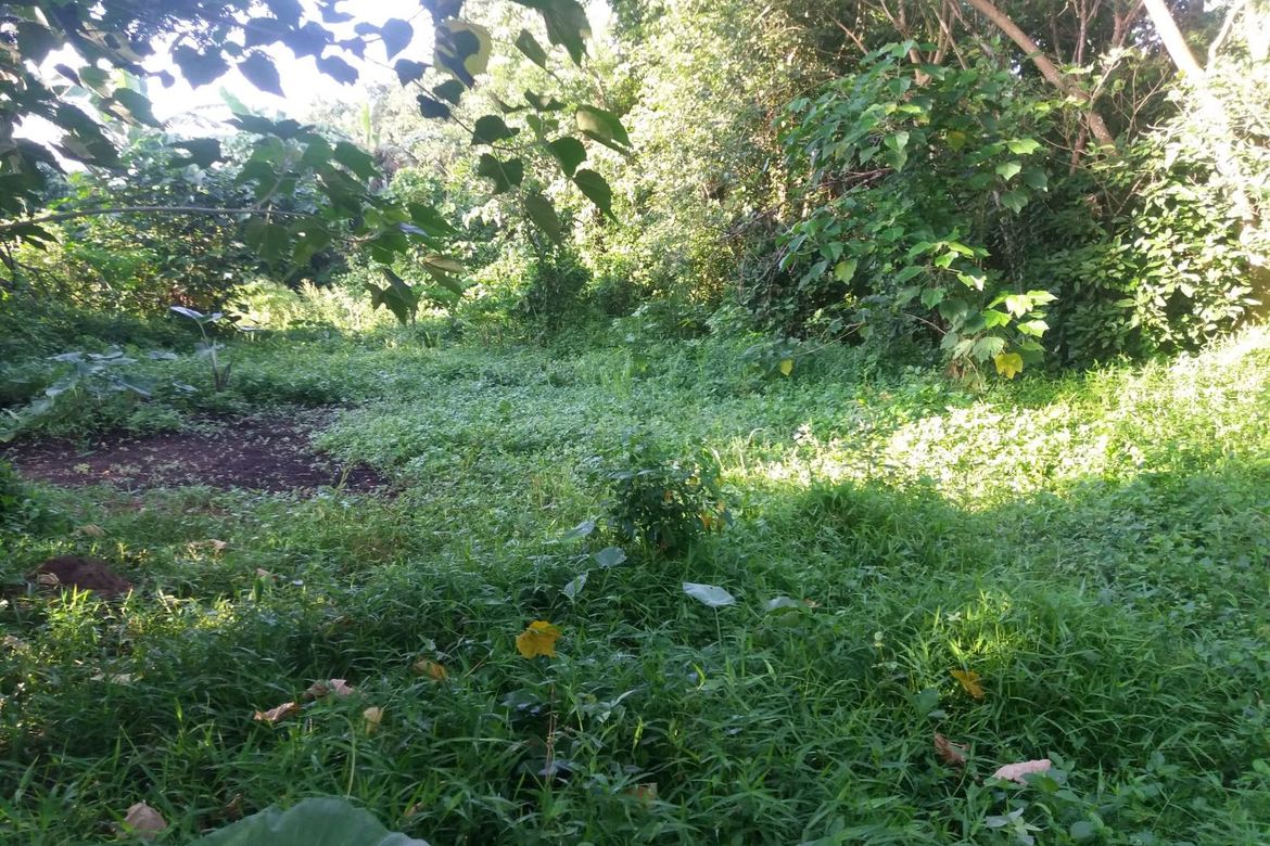 Land for Sale in Poblacion Barangay 6, Lipa, Batangas – photo 8