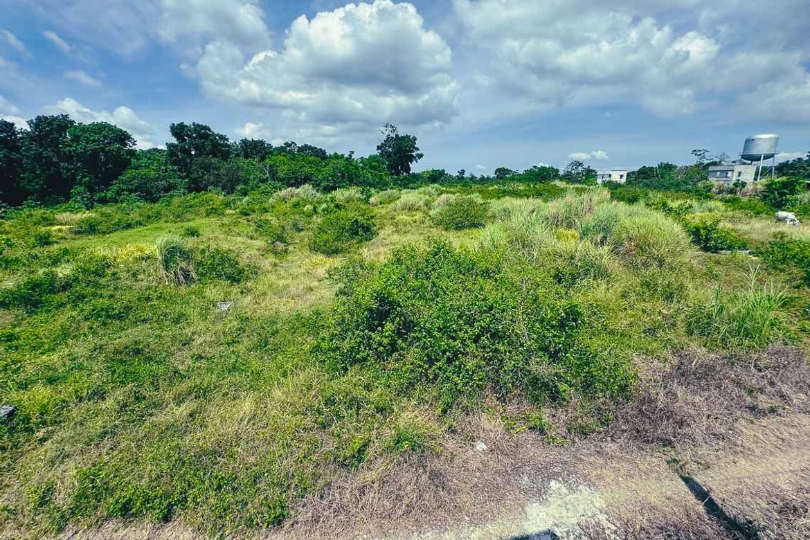 Land for Sale in Poblacion Barangay 6, Lipa, Batangas – photo 4