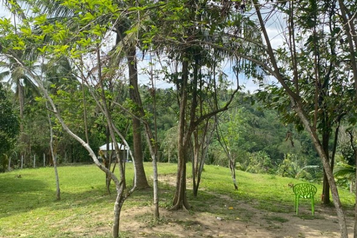 Land for Sale in Poblacion Barangay 7, Tanauan, Batangas