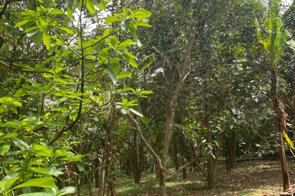 Land for Sale in Poblacion Barangay 7, Tanauan, Batangas – photo 6