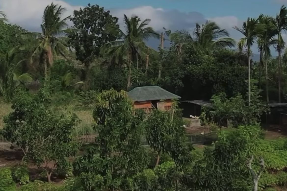 Land for Sale in Poblacion Barangay 7, Tanauan, Batangas – photo 3