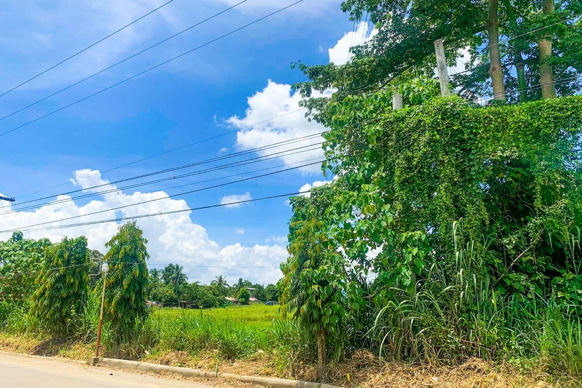 Land for Sale in Poblacion Barangay 7, Tanauan, Batangas – photo 2