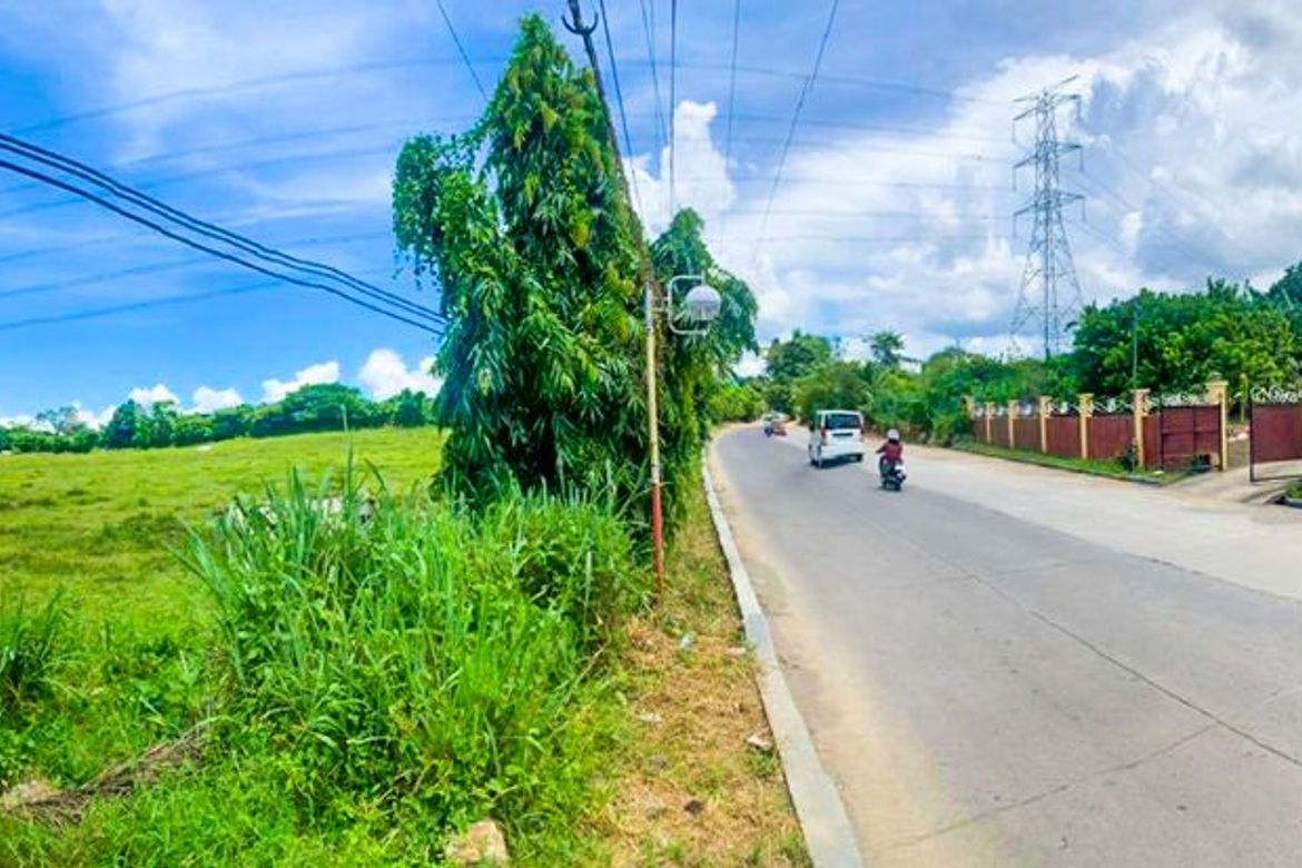 Land for Sale in Poblacion Barangay 7, Tanauan, Batangas – photo 3