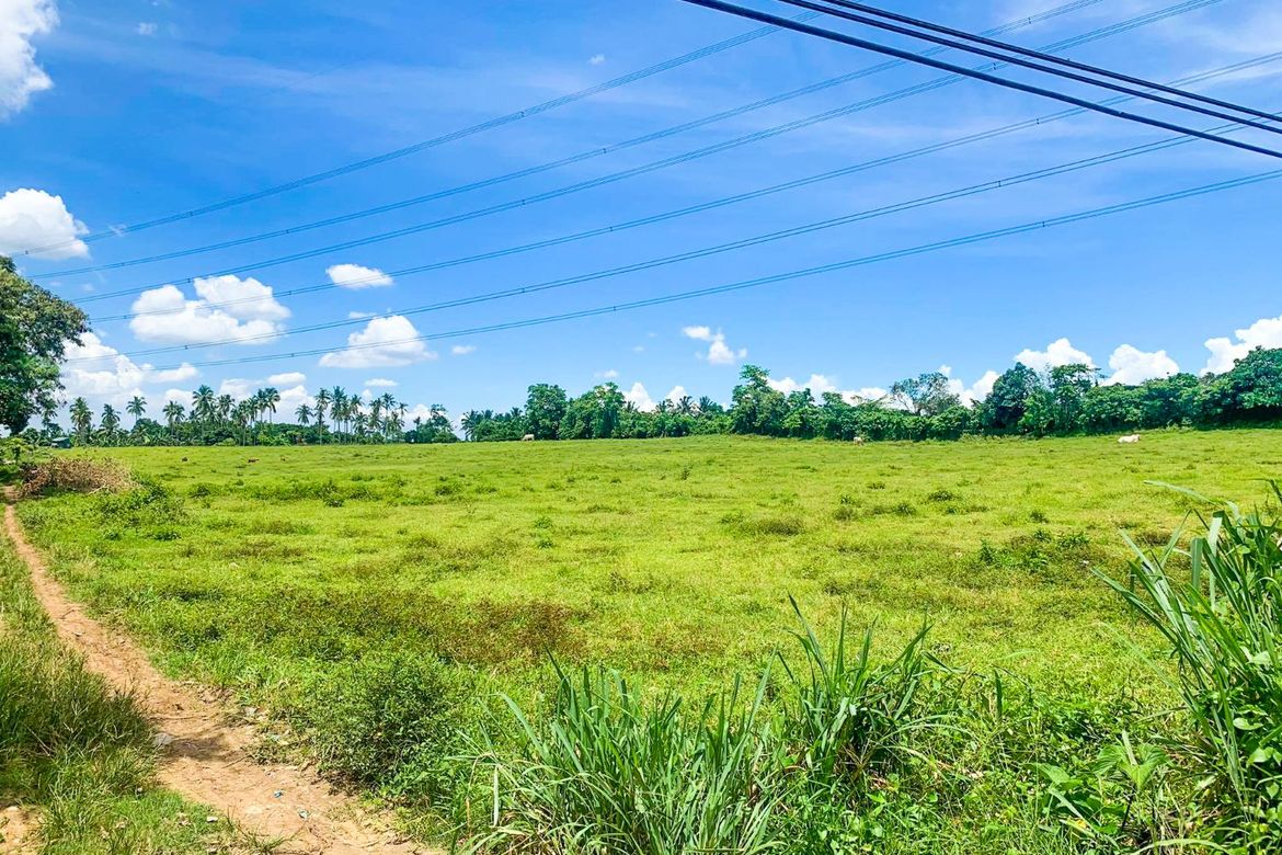 Land for Sale in Poblacion Barangay 7, Tanauan, Batangas – photo 7