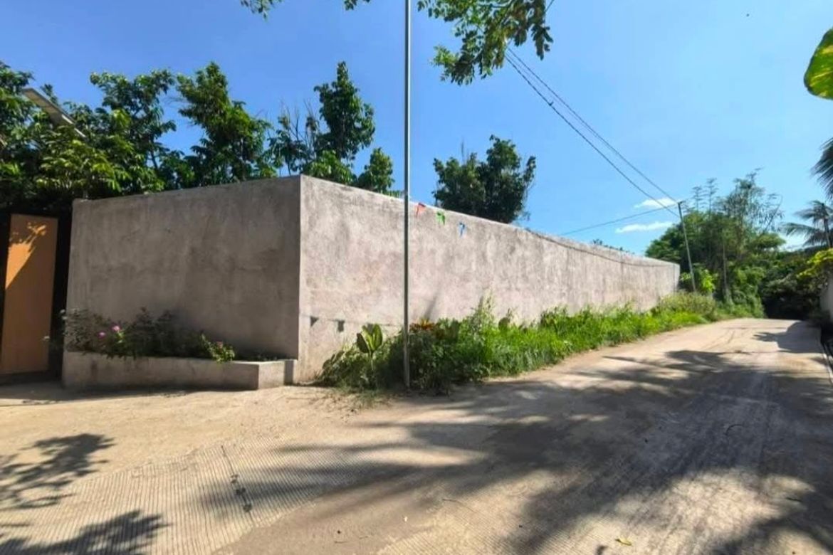Land for Sale in Poblacion Barangay 7, Tanauan, Batangas – photo 4