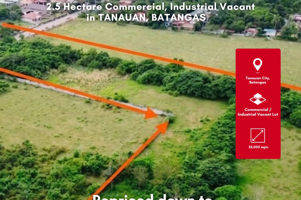 Land for Sale in Poblacion Barangay 7, Tanauan, Batangas