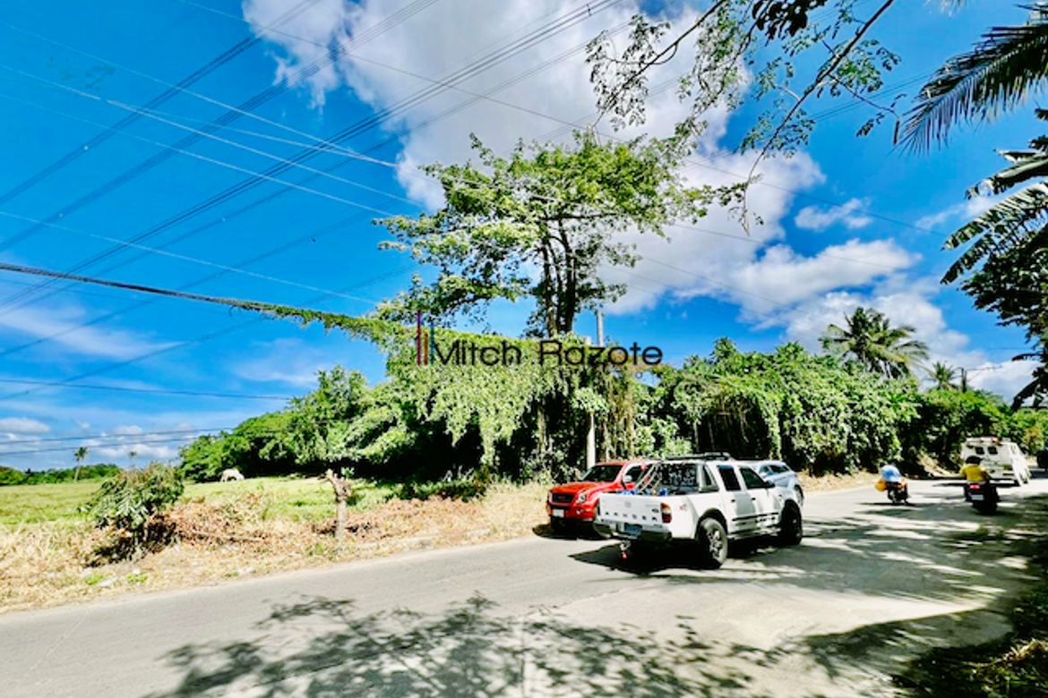 Land for Sale in Poblacion Barangay 7, Tanauan, Batangas – photo 8