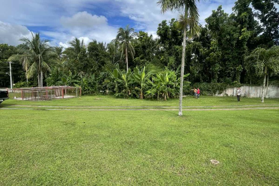 Land for Sale in Poblacion Barangay 9, Lipa, Batangas – photo 2