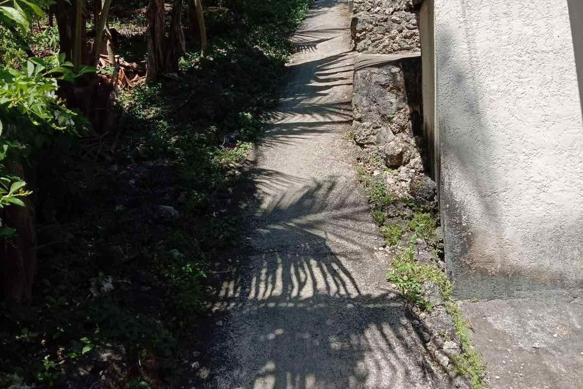 Land for Sale in Poblacion, Boljoon, Cebu – photo 3