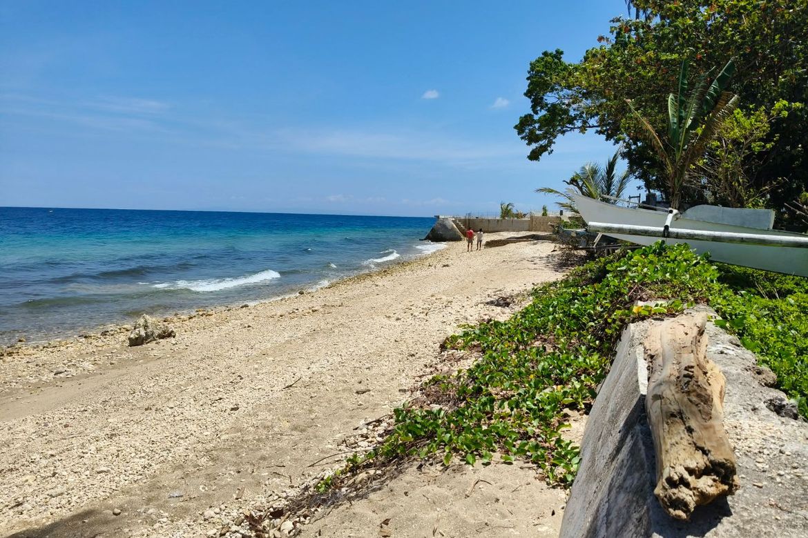 Land for Sale in Poblacion, Boljoon, Cebu