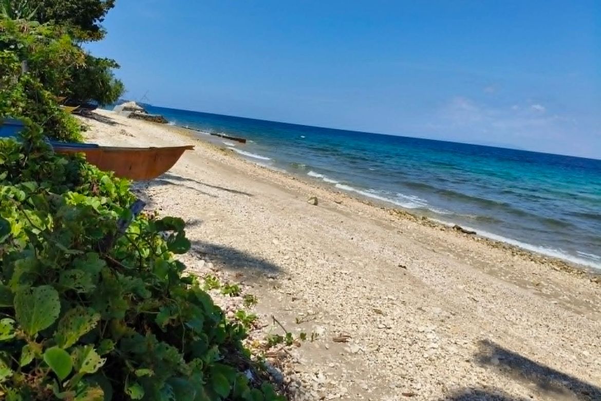 Land for Sale in Poblacion, Boljoon, Cebu – photo 3